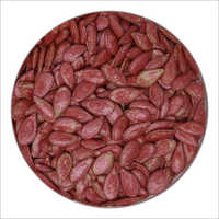 Pumpkin Seeds