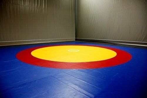 Blue Wrestling Mats