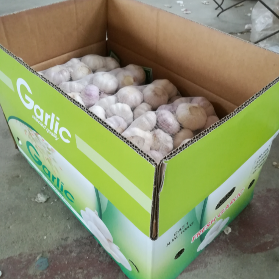 Fresh White Garlic