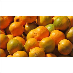 Fresh Orange - Organic Whole Citrus Fruit , Naturally Shaped With Electrolytes, Vitamins, Minerals, & Antioxidants, Available In Bulk