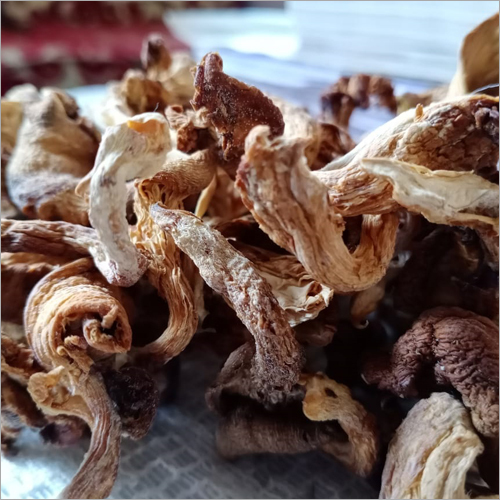 Light Brown Dry Mushroom