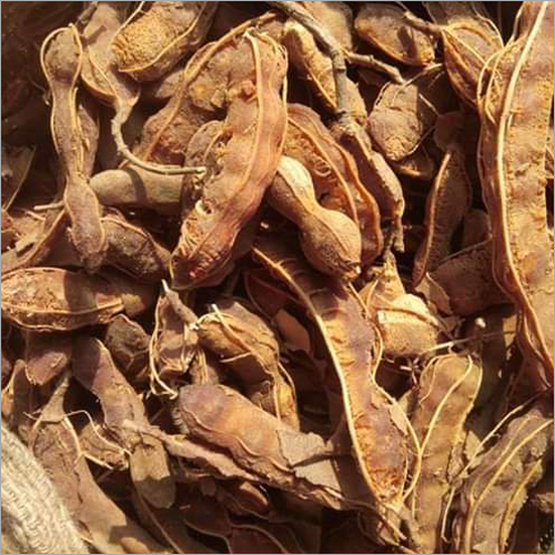 Raw Tamarind