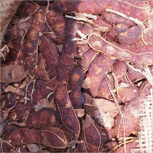 Raw Tamarind
