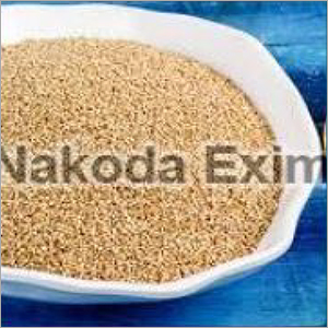 ऑर्गेनिक केनोवा सीड्स