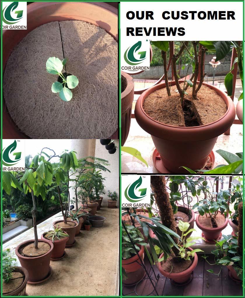 Coir Garden Coir Mulch Mat - Coconut Fiber, 2-6 Mm Thickness, Light Brown, Circular | Eco-friendly, Easily Bio-degradable, Indoor-outdoor Use