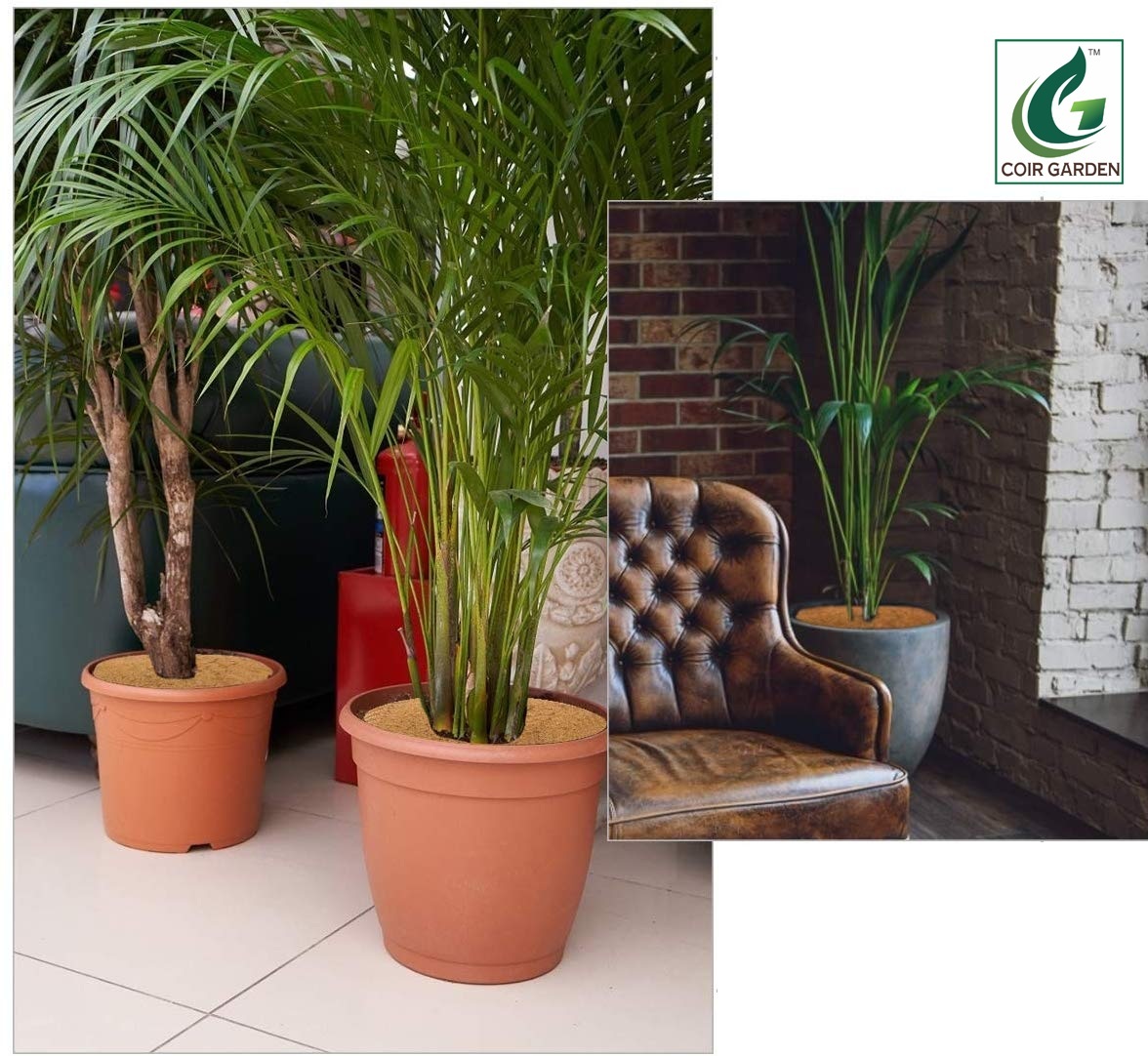 Coir Garden Coir Mulch Mat - Coconut Fiber, 2-6 Mm Thickness, Light Brown, Circular | Eco-friendly, Easily Bio-degradable, Indoor-outdoor Use