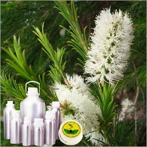 Tea Tree Australian Oil