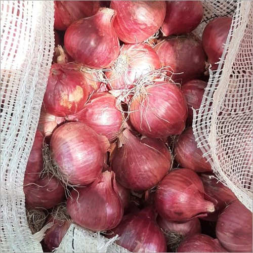 Fresh Red Onion
