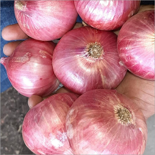 Fresh Red Onion