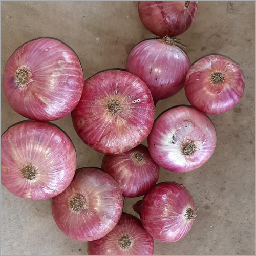 Fresh Red Onion