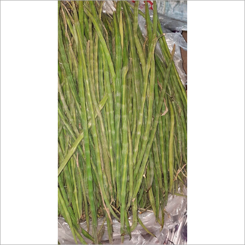 Fresh Drumstick - Organic, Natural Shape | Fresh Style, Sourced From India