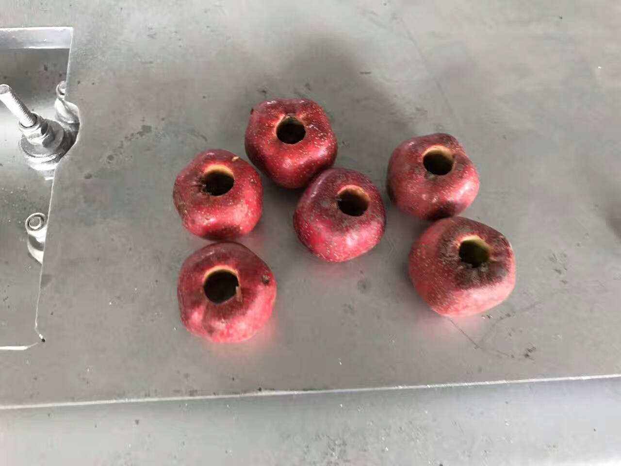 Plum Cherry Pitting Machine Capacity: 500 Kg/day