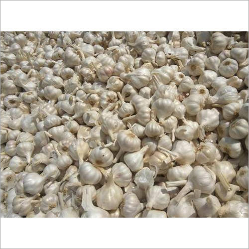 Fresh Garlic - Moisture: 98-100%, Shelf Life: Up to 6 Months | Processing Form: Raw, Style: Fresh