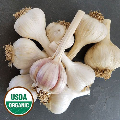 Organic Garlic Bulbs