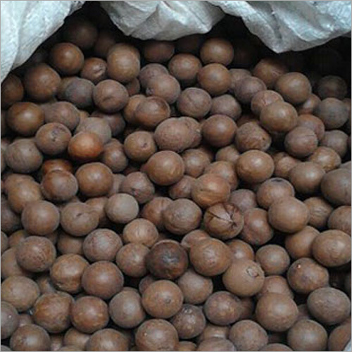 Rdf Macadamia Nuts