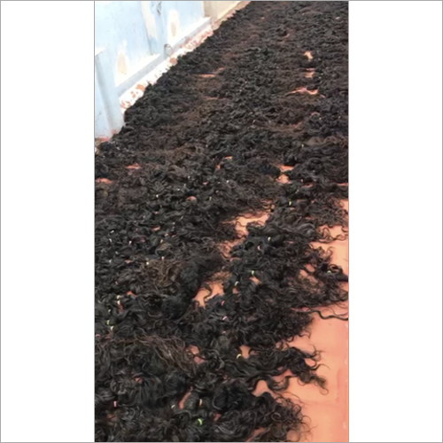 Raw Indian Virgin Human Hair