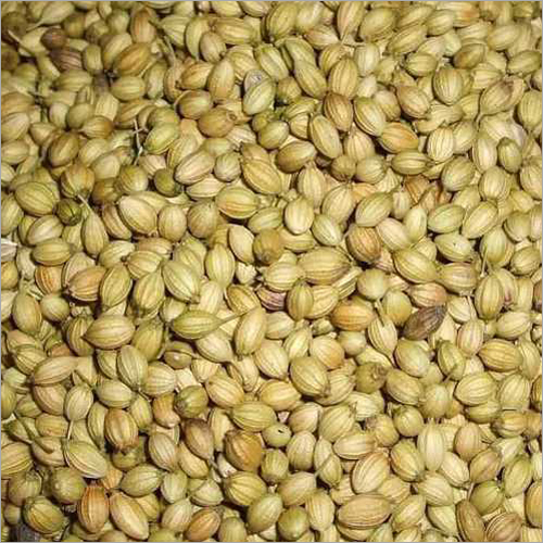 Organic Coriander Seeds - Whole Round Seeds, Light Brown Color, Earthy Tangy Flavor, Low Oil Content, 100% Organic, 12-Month Shelf Life, Natural Drying