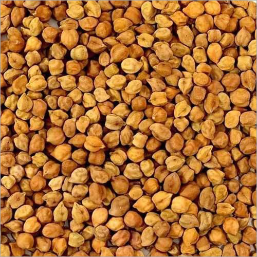 Filter Chana - Raw, Round Shape, Low Moisture, 12 Months Shelf Life | Natural Source of Fiber and Protein for Weight Management