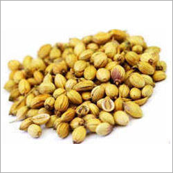 Coriander Seeds