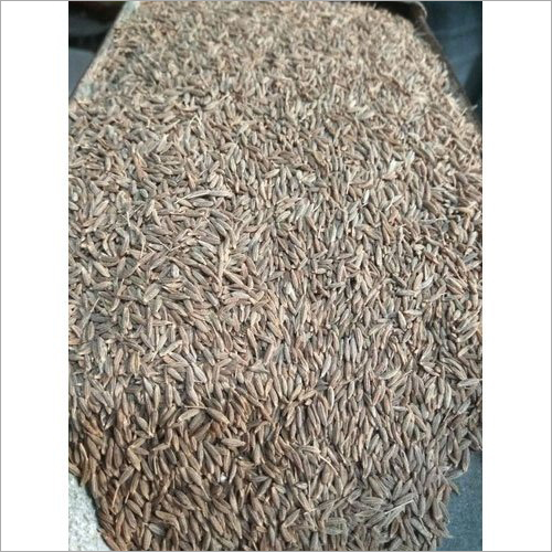 Cumin Seeds - Whole Brown Seeds, 5-8% Moisture, 2-4% Oil Content | Aromatic Slightly Bitter Flavor, Oval Shape, 12 Month Shelf Life