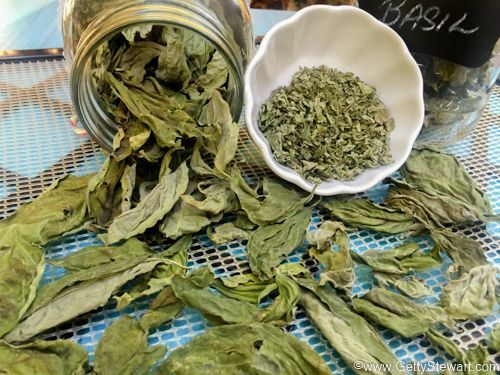 Dried Dehydrated Basil Leaves
