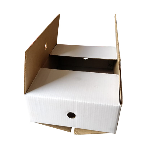 सफेद सादा नालीदार बॉक्स