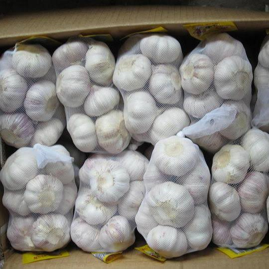 Ooty Garlic