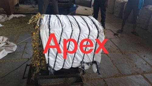 येलो फ्रूट नाइटशेड