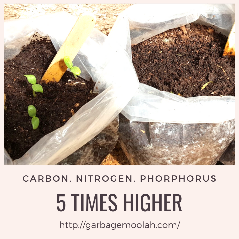 Grow Rite Compost Application: Organic Fertilizer