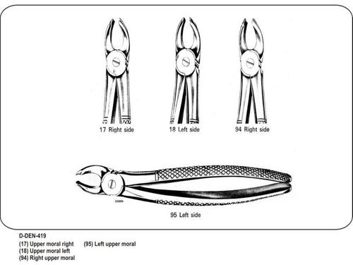 Stainless Steel Molars
