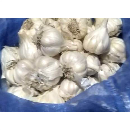Fresh White Garlic - Natural Shape | Organic, Heart Health Enhancer, Rich In Manganese And Vitamin B6