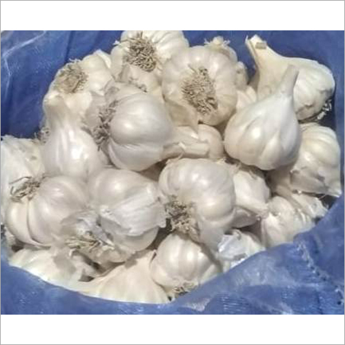 Fresh White Garlic - Natural Shape | Organic, Heart Health Enhancer, Rich In Manganese And Vitamin B6