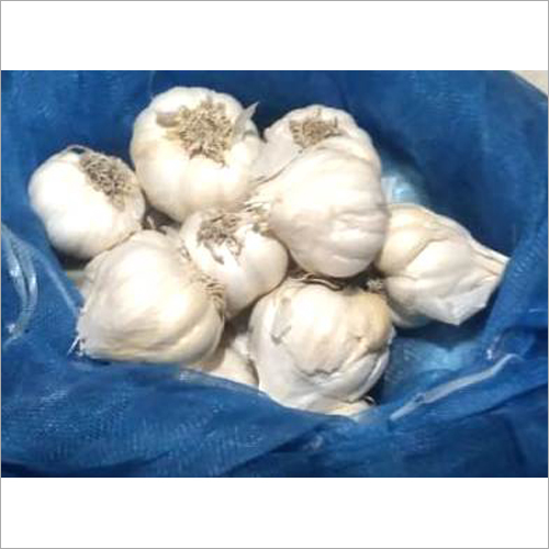Fresh White Garlic - Natural Shape | Organic, Heart Health Enhancer, Rich In Manganese And Vitamin B6