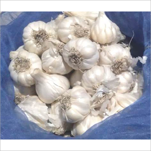Fresh White Garlic - Natural Shape | Organic, Heart Health Enhancer, Rich In Manganese And Vitamin B6