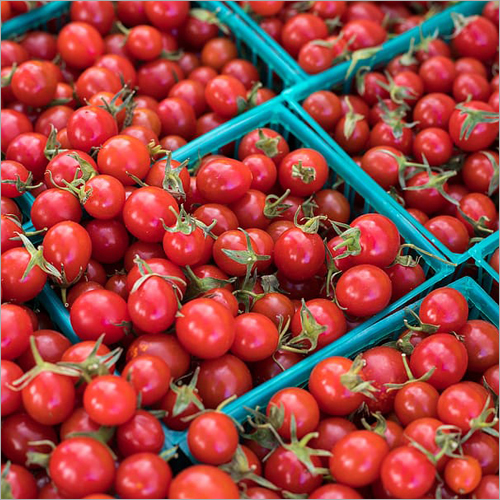 Red Tomato - Organic Fresh Produce | Natural Shape, Ideal For Hotels, Households, Cooking, And Culinary Uses