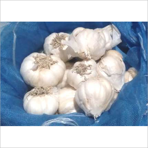 Fresh White Garlic - Natural Shape | Organic, Heart Health Enhancer, Rich In Manganese And Vitamin B6
