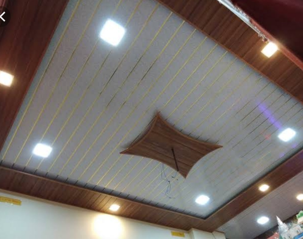 Ceiling Panel Application: Roofing
