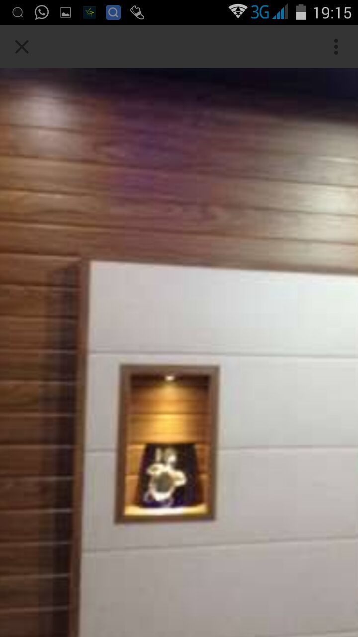 Ceiling Panel Application: Roofing