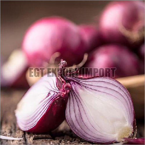 लाल प्याज