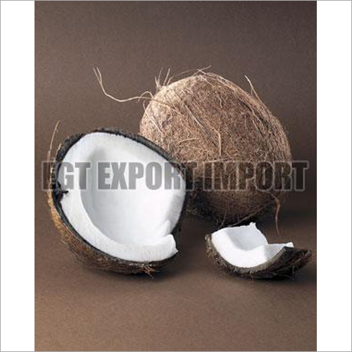 Fresh Coconut - Brown, Variable Size, High Water Content | Fresh, Tasty, Healthy, Digestible, Soft Flesh, Easy to Use, Suitable for Religious Use