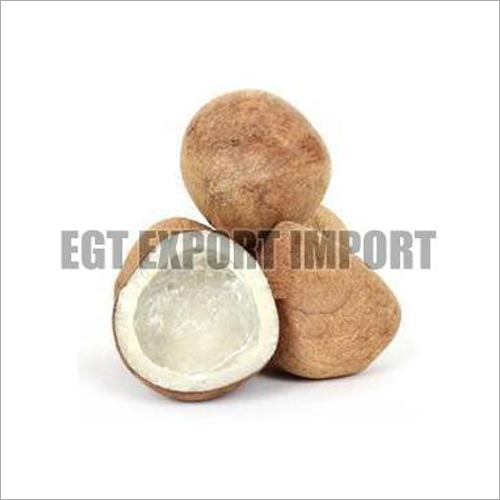 Dry Coconut - Natural, Brown | Dried, Flavorful, Healthy, Hydrating, Versatile, Low Moisture, Bulk Packaging, Long Shelf Life, Variable Size, Coconut Tree Source