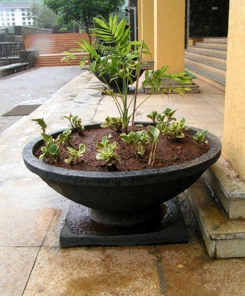 Custom Made Planter