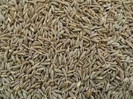 Cumin Seed Broken Ratio (%): 0.5