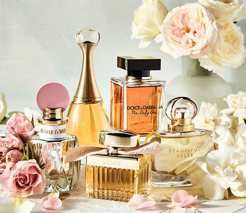 Body Perfumes - Liquid Fragrance Mix | Suitable for Daily Personal Care, Unisex Aroma for All Occasions
