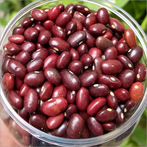 Rajma Pulse
