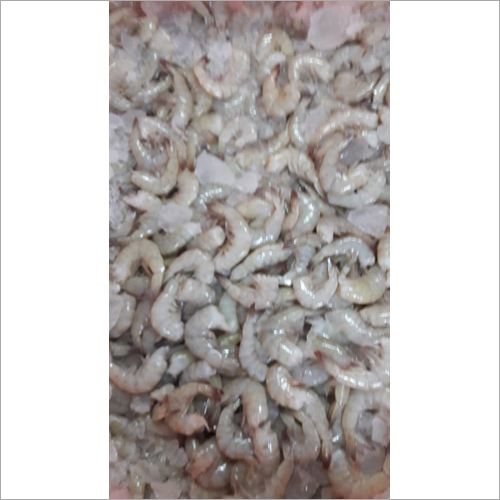 Vannamei Prawns - Purity: 99%, Total Fat: 1.08% | Shelf Life: 1-3 Days, Weight: As Per Requirement, Cool Storage Temperature