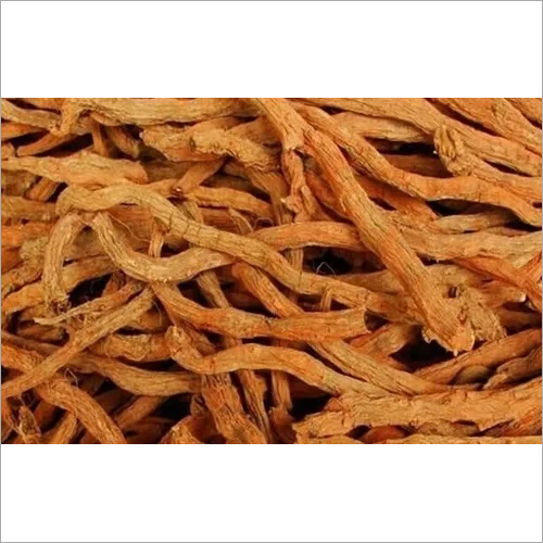Salvia Miltiorrhiza Extract