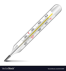 Patient Examine Products Mercury Thermometer