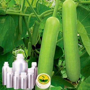 लौकी (लौकी) का तेल