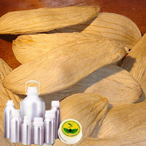 Mango seed oil